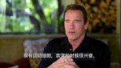 阿诺视频爆料最新官网在线观看,官网在线观看独家揭秘